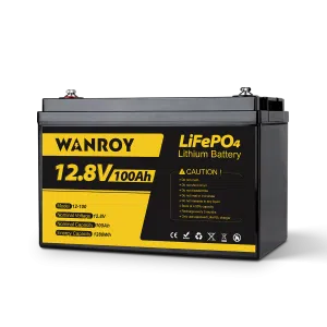 WANROY 12V 100Ah LiFePO4 Battery with 100A BMS