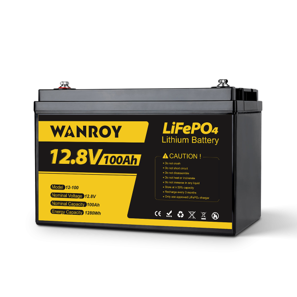 WANROY 12V 100Ah LiFePO4 Battery with 100A BMS